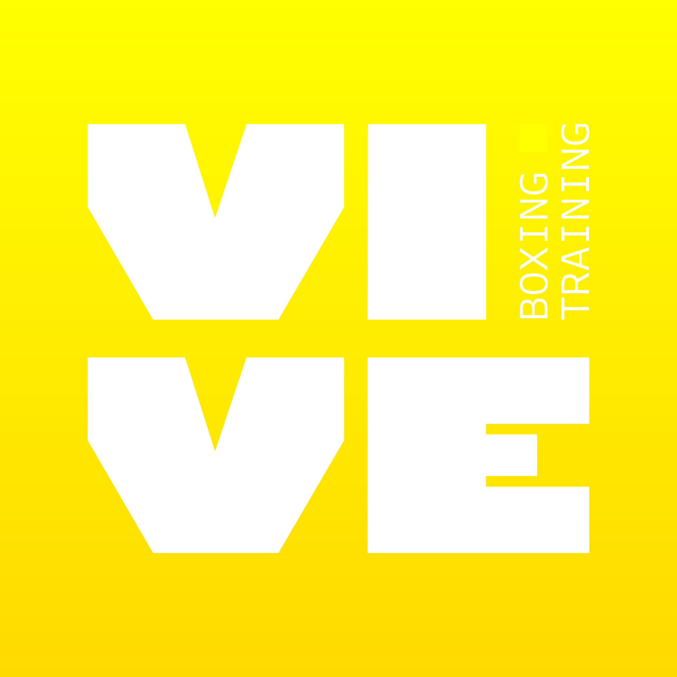 VIVE Boxing Training